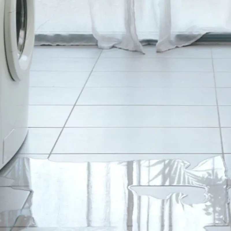Appliance Leak Cleanup in Venice, CA